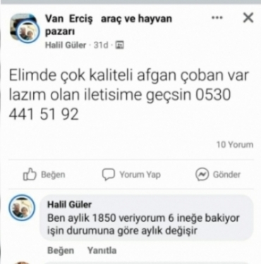 sehrivan_gundeme_getirdi_emniyet_harekete_gecti_7_kisi_gozaltina_alindi_h86910_2ed27