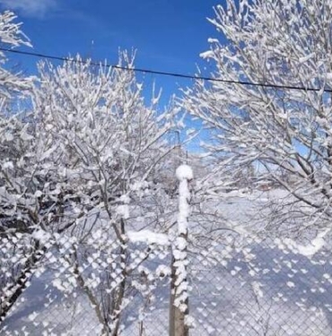 Göle'de soğukluk