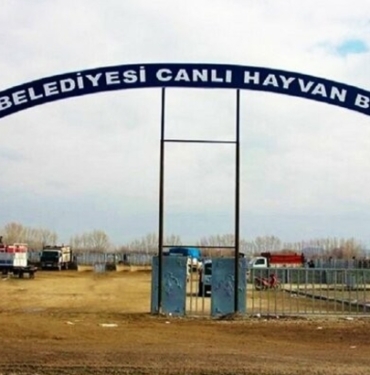 Iğdır kayyımı hayvan pazarını ihalesiz kiraya verdi