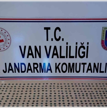 Van'da 518 adet tarihi sikke ele geçirildi