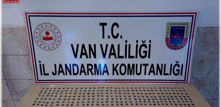 Van'da 518 adet tarihi sikke ele geçirildi