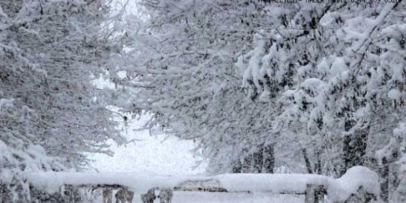 Van’da kar yağışı: 83 yerleşim yeri ulaşıma kapandı