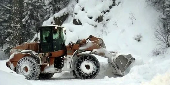 Erzurum’da çığ altında kalan 2 yurttaş  hayatını kaybetti