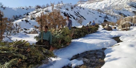 Hakkari dağlarında kızakla ot taşıma yolculuğu görüntülendi