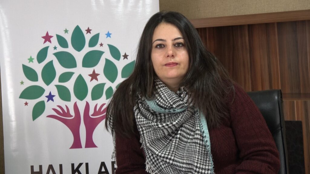 Van’ın siyasi dinamikleri olan partili kadınlardan ortak fikir: İstanbul Sözleşmesi - Handan Karakoyun