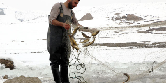 Donan derede Eskimo usulü balık avı