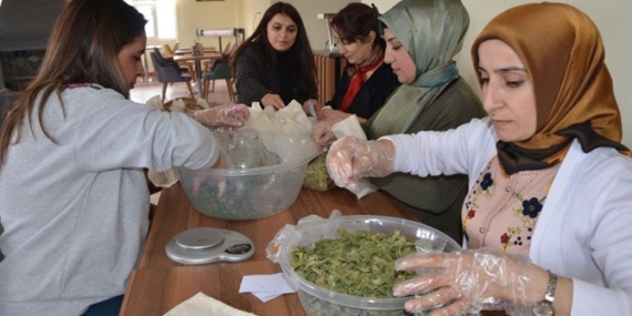 Hakkari’nin tek kadın kooperatifinin büyük başarısı: ‘İmkansızlıktan imkân yaratmak’