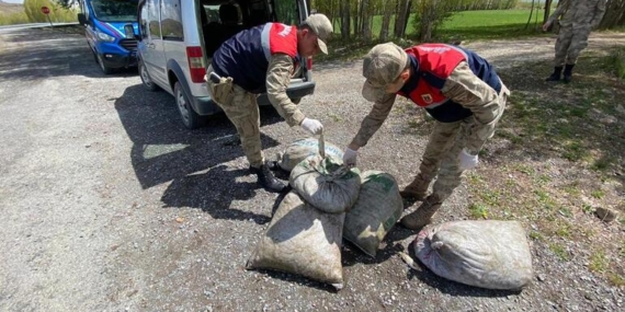 Van’da kaçak avlanan 450 kilo inci kefali ele geçirildi