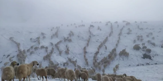 Koçer di meha Gulanê de ji ber berfê asê man