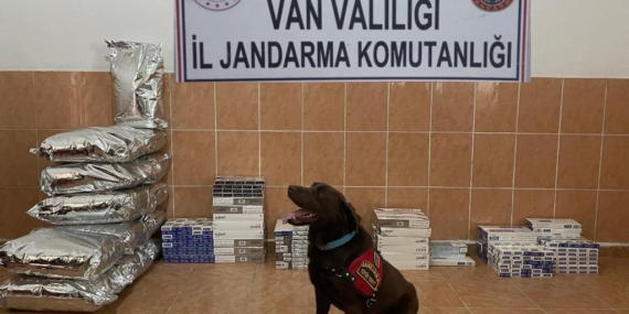 Van’da 106 kişi yakalandı