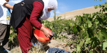 Dema komkirina tiriyan Em nikarin debara xwe pêk bînin 1