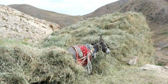 Tevî zor û zehmetiyan jî welatî dev ji jiyana gund bernadin