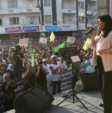 van-miting-pervin-buldan