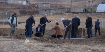 Li Şaxê şitlên lewantayê hatin çandin (2)