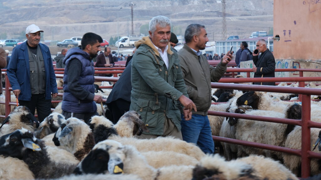 Hayvan satıcılarının zorlu günleri başladı - Fahri Abi