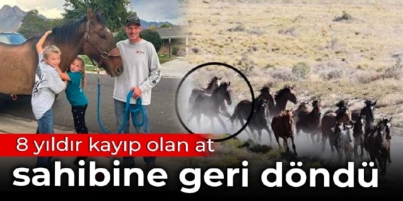 8 yıldır kayıp olan atına kavuştu