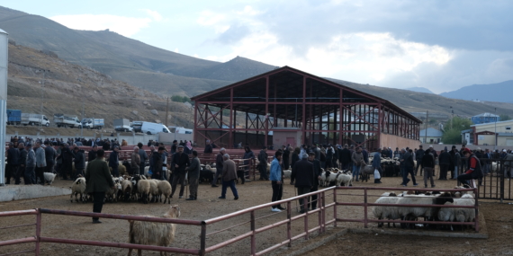 Hayvan satıcılarının zorlu günleri başladı