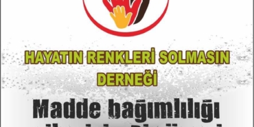 haytain-renkleri-solmasin-foto-1