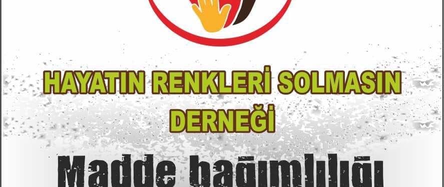 haytain-renkleri-solmasin-foto-1