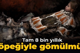 köpeğiule-gömüldü