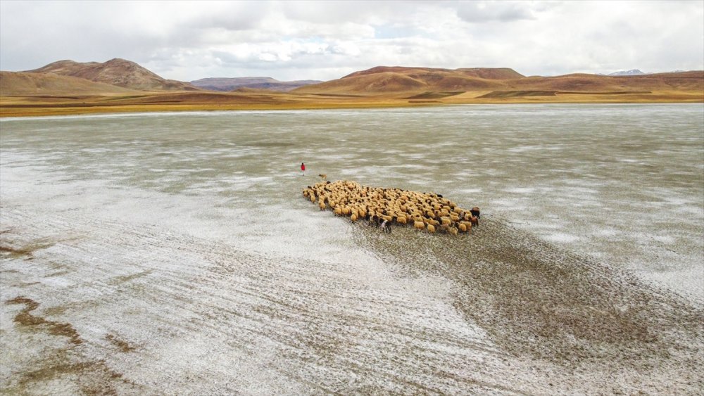 Van’daki Tuz Gölü tamamen kurudu - van tuz golu kurudu5