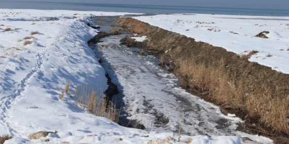 Van Gölü ulusal basında: Arıtma tesisi Van Gölü’ne çamur akıtıyor