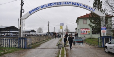 Şap hastalığı nedeniyle hayvan pazarları kapatıldı