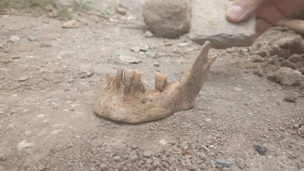 Van'da anaokulu inşaatı sırasında insan kemiklerine rastlandı - WhatsApp Image 2023 03 30 at 18.17.53