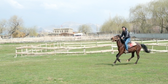 Besiciliğin bitme aşamasına geldiği Van’da alternatif arayışı: At çiftliği