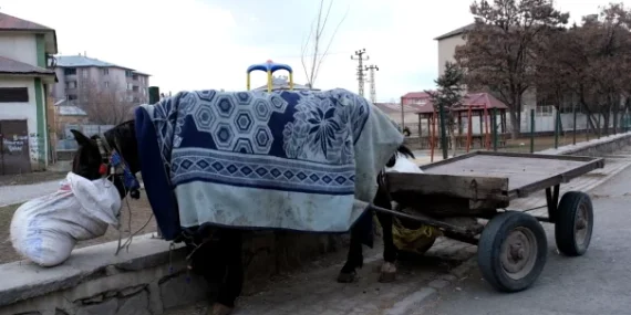 Li Agiriyê îşkenceyeke demdirêj: Bar hê jî bi hespan tê veguhestin