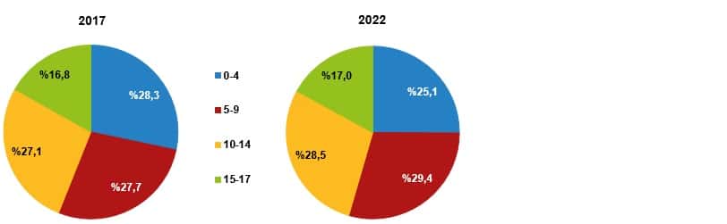TÜİK 2022 Çocuk İstatistik Raporu: Van 8. sırada - dagilim