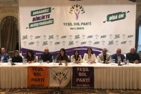 hdp-van-stk-buluşma (1)