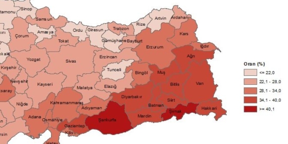 TÜİK 2022 Çocuk İstatistik Raporu: Van 8. sırada