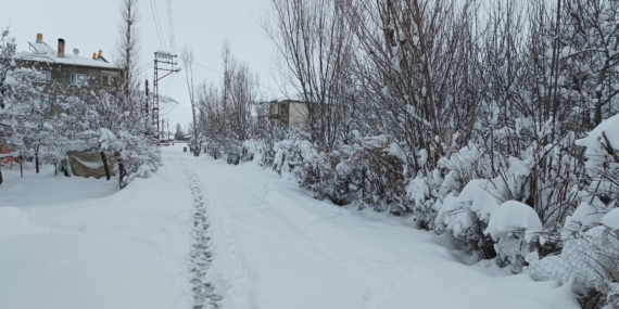 Kars ve Ardahan’da kar yağışı