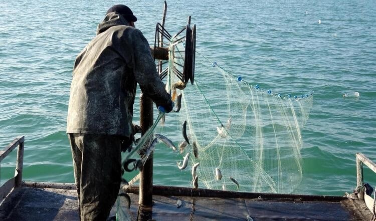 Van Gölü çekilmesi ciddi boyutlara ulaştı: Balıkçılar zor durumda! - van balikcilar2