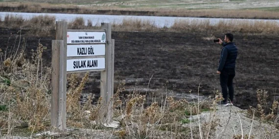 Sazlıklar yanıyor: Van Gölü için acil önlem çağrısı