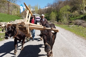 Yeşil Sol Parti ziyaret