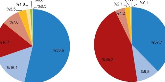 TÜİK, Nisan ayında trafiğe kaydı yapılan taşıt verilerini paylaştı