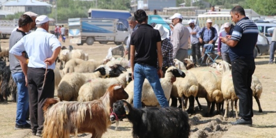 Van’da kurbanlıklar elde kaldı