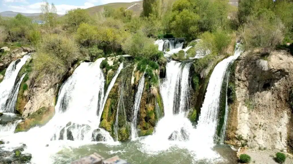 Muradiye Waterfall has returned to the 'Tree Cemetery'! - muradiye selalesi agac mezarligina dondu 2 1140x641 1 1