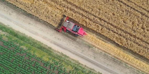 Çiftçilere 75,8 milyon liralık destek ödemesi bugün yapılacak