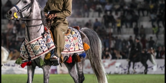 Kürt atları görücüye çıkıyor