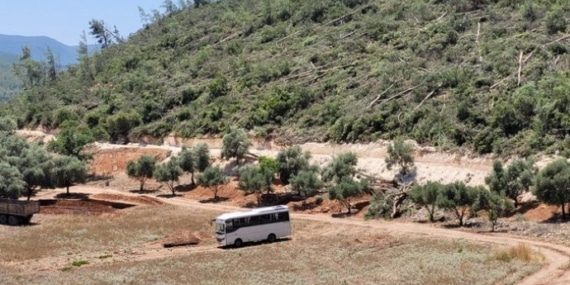 Akbelen’de binlerce ağaç kıyıma uğratıldı