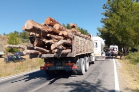 akbelen ağaçlar kesildi