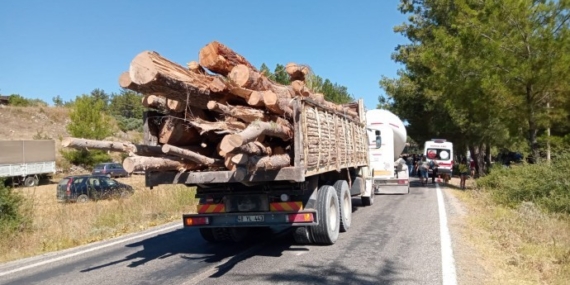 Akbelen’de kesilen ağaçlar kamyonlarla taşınıyor