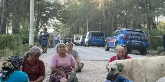 Akbelen Ormanı’na çok sayıda jandarma ve TOMA sevk edildi!