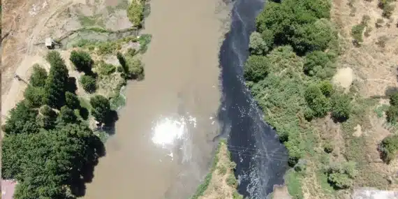 Dicle Nehri’ne kimyasal madde içeren atık su karıştı