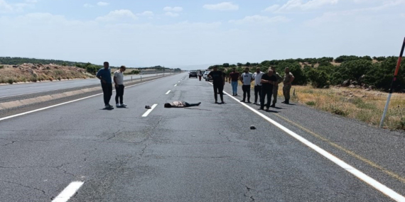 Elazığ’da yayaya araç çarptı