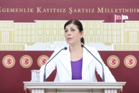 meral danış beştaş