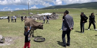 Ardahan'da devam eden şap hastalığı kontrol altına alınmaya çalışılıyor - r